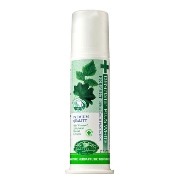 Dentiste Plus White Before Sleep Toothpaste 120gr.